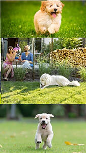 Sutherlands Blog Image